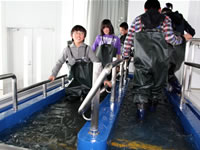 流水体験